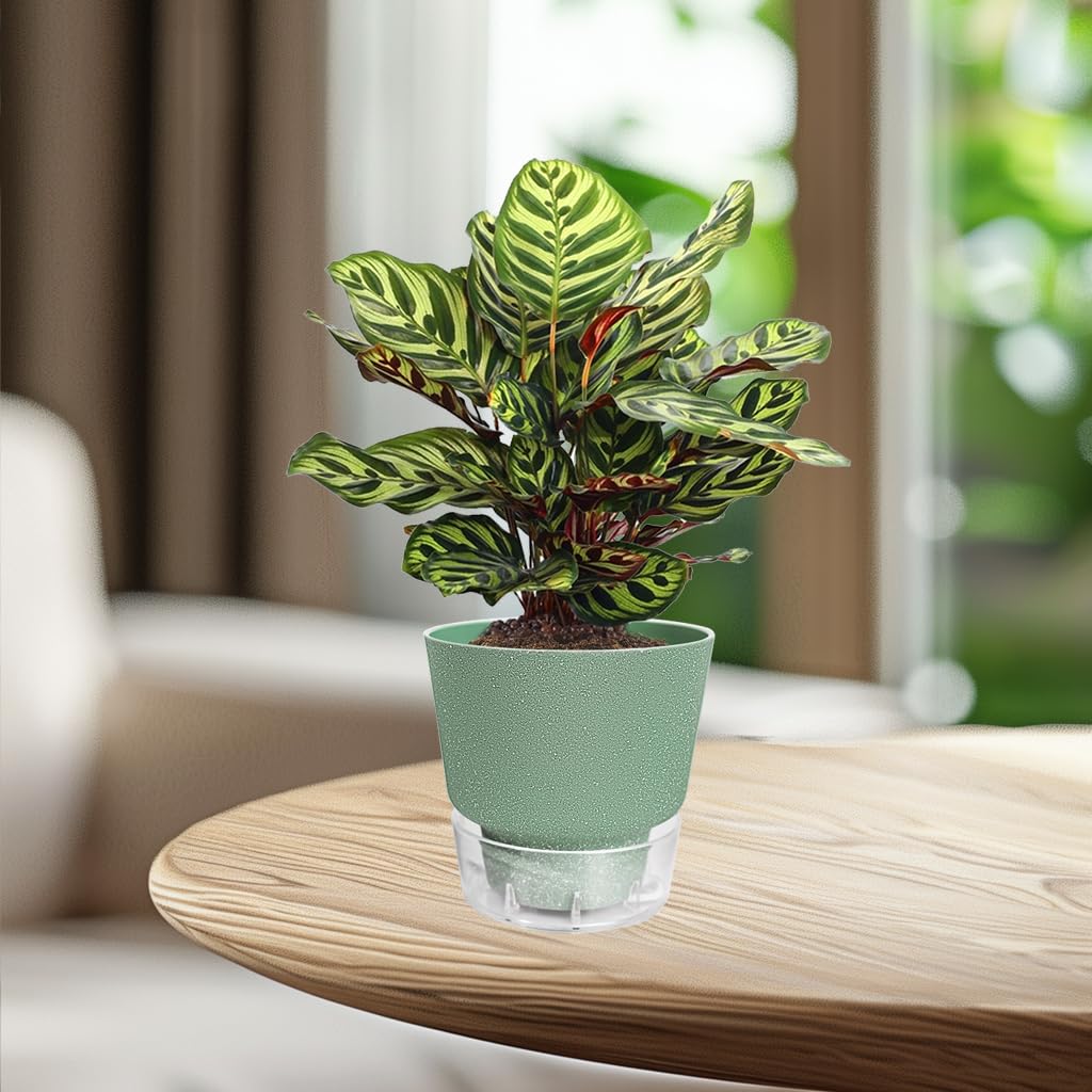 HYNZ Green Self Watering Plant Pots - 6" Planters for Indoor Plants - Pack of 5 Flower Pots - Plant Pots with Drainage Hole and Tray Saucer (Frosted Dark Green)