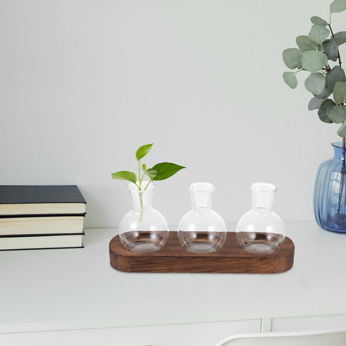 INOOMP Glass Floral Vase Set with Wooden Base, Hydroponic Plant Terrarium for Office and Living Room Desktop Decoration, 3pcs Small Glass Vases for Home Flower Centerpieces