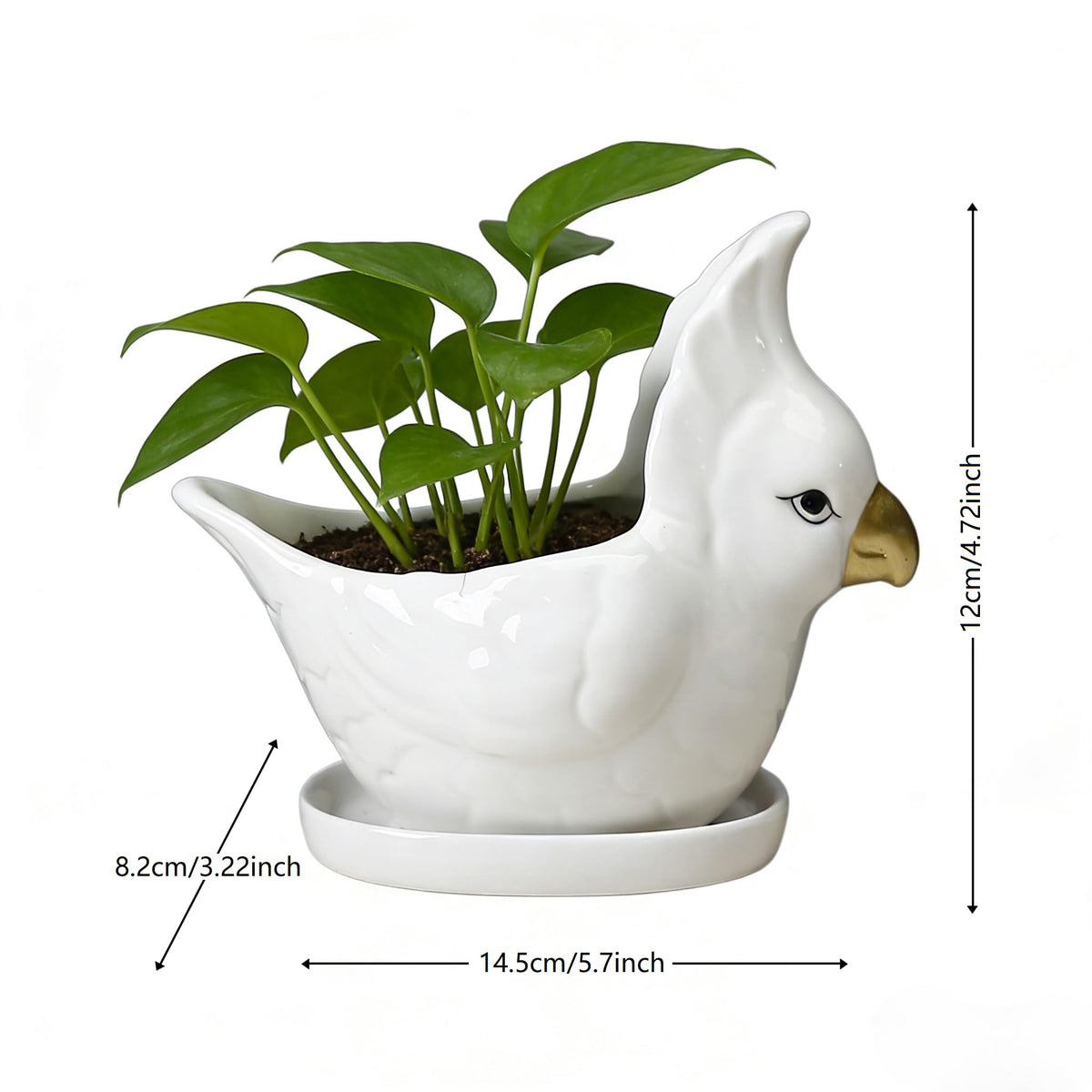 YANGMEI Ceramic Bird Planter Pot with Saucer, Drainage Hole Design, Cute Animal Succulent Pot for Indoor/Outdoor, Great Gift for Plant Lovers, Home Garden & Office Décor(White)