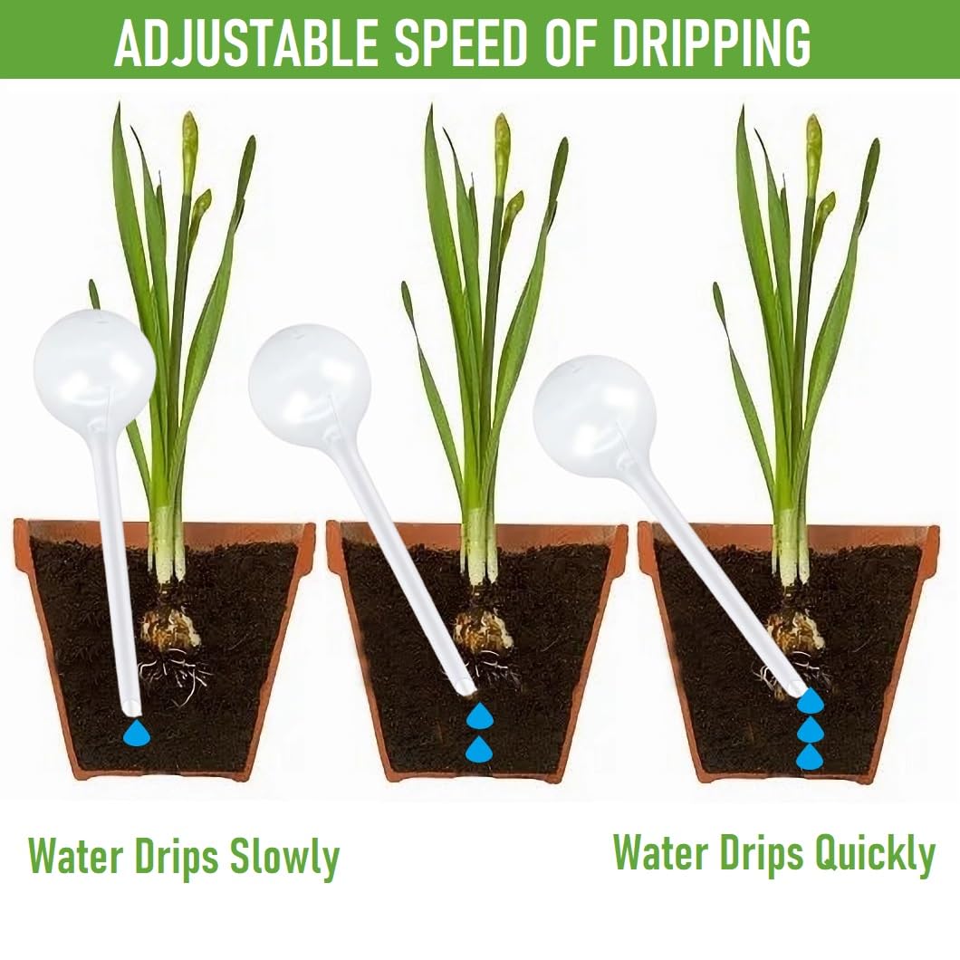 Plant Watering Globes, Self Watering Bulbs for Indoor & Outdoor Plants, Plastic Self-Watering Balls Automatic Water Irrigation Device (Clear, Large 12 Pack)