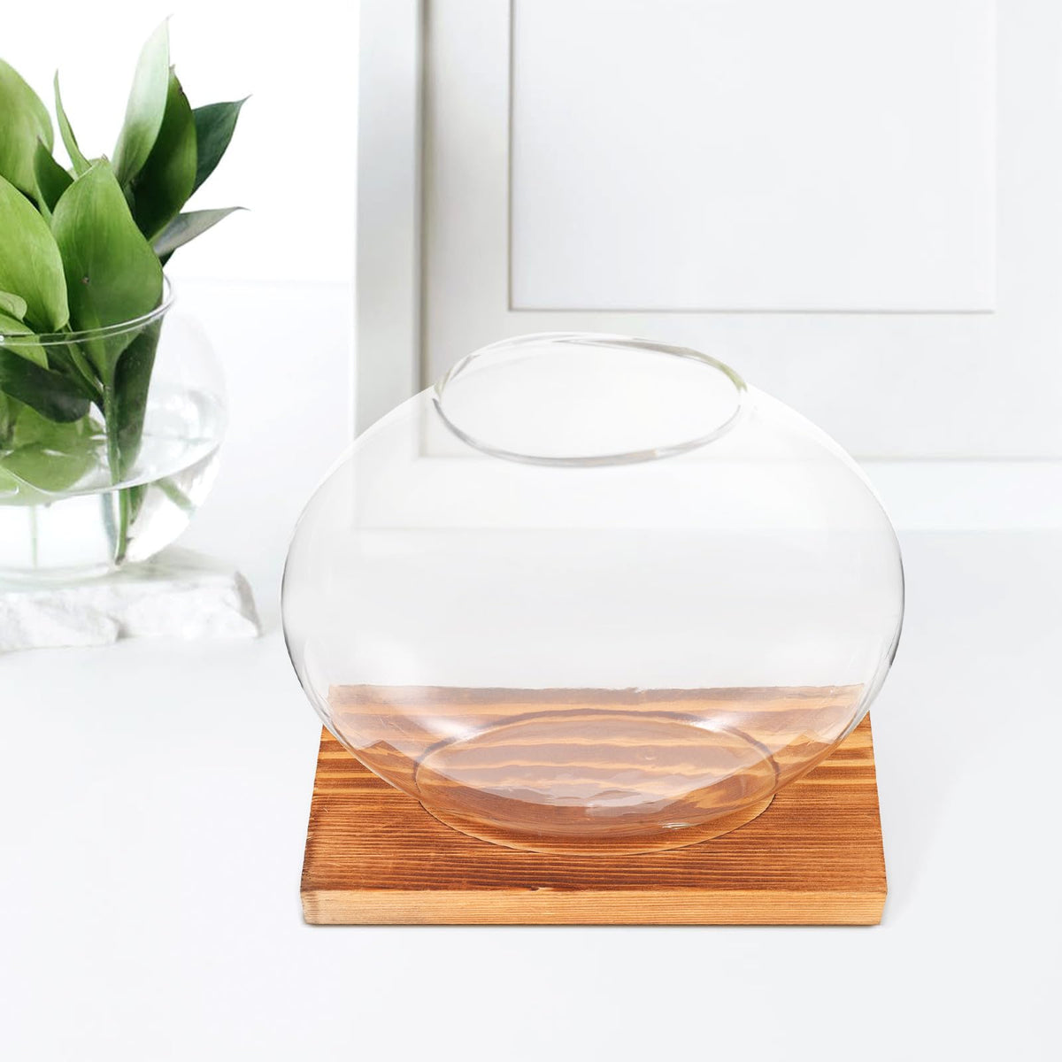 LIFKOME Glass Hydroponic Planter Bottle with Retro Wooden Base, Desktop Glass Plant Vase for Home and Office Décor, Flower Hydroponics Terrarium for Indoor Gardening