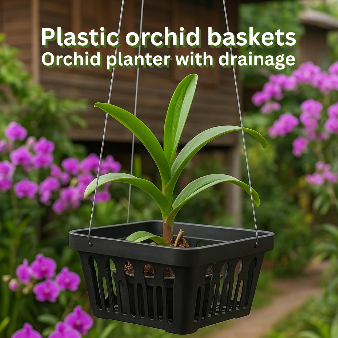 UNCLEJUM 5 PCS Orchid Basket Pots – Black Plastic Vanda Baskets for Hanging Orchids, Vanda, Ascocenda, Rhynchostylis – Durable Flower Planting Pots with Great Drainage (Round 8 inch)