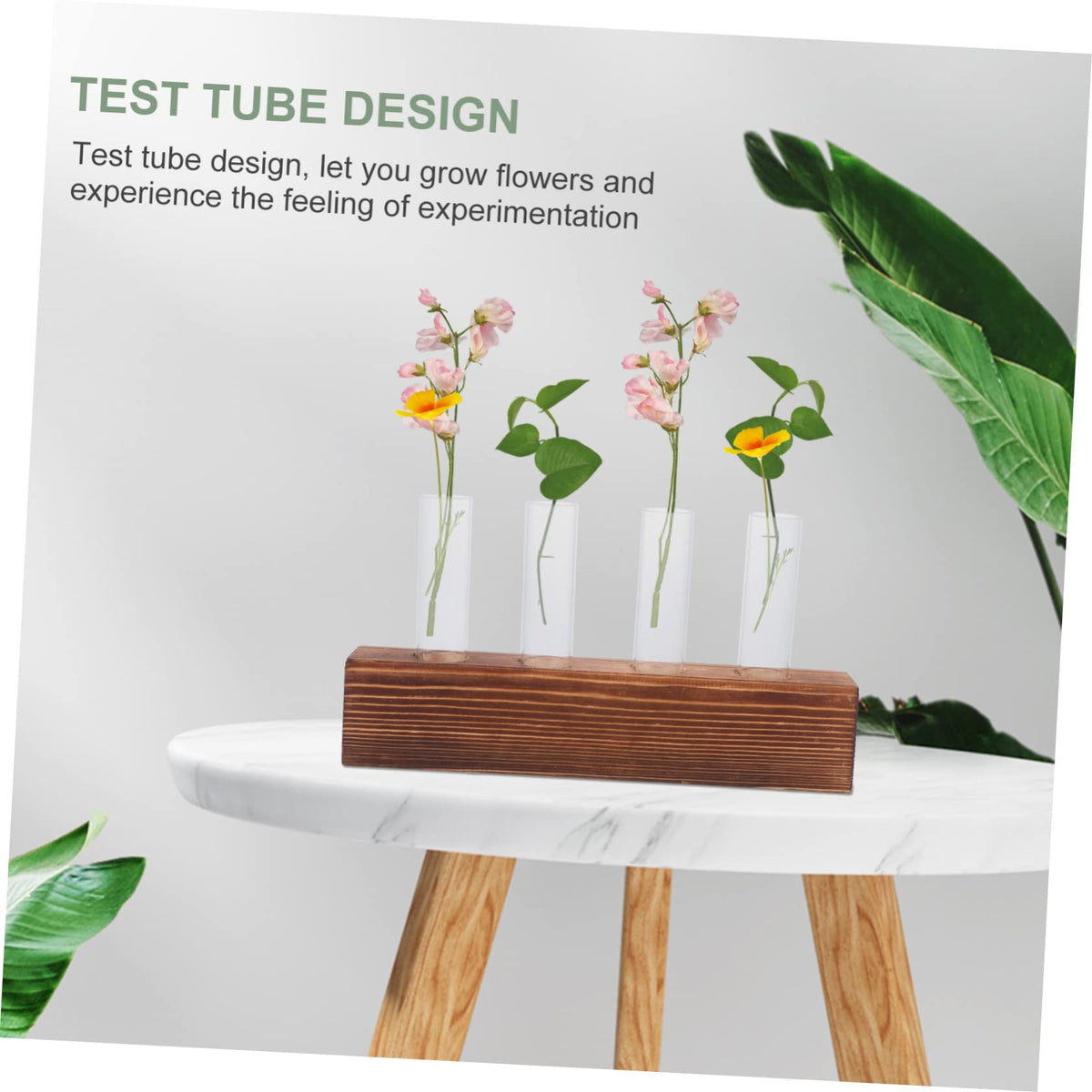 FUNOMOCYA Creative Hydroponic Glass Vases Wooden Stand Plant Terrarium for Home Decoration for Indoor Gardening for Plant Lovers 1 Set