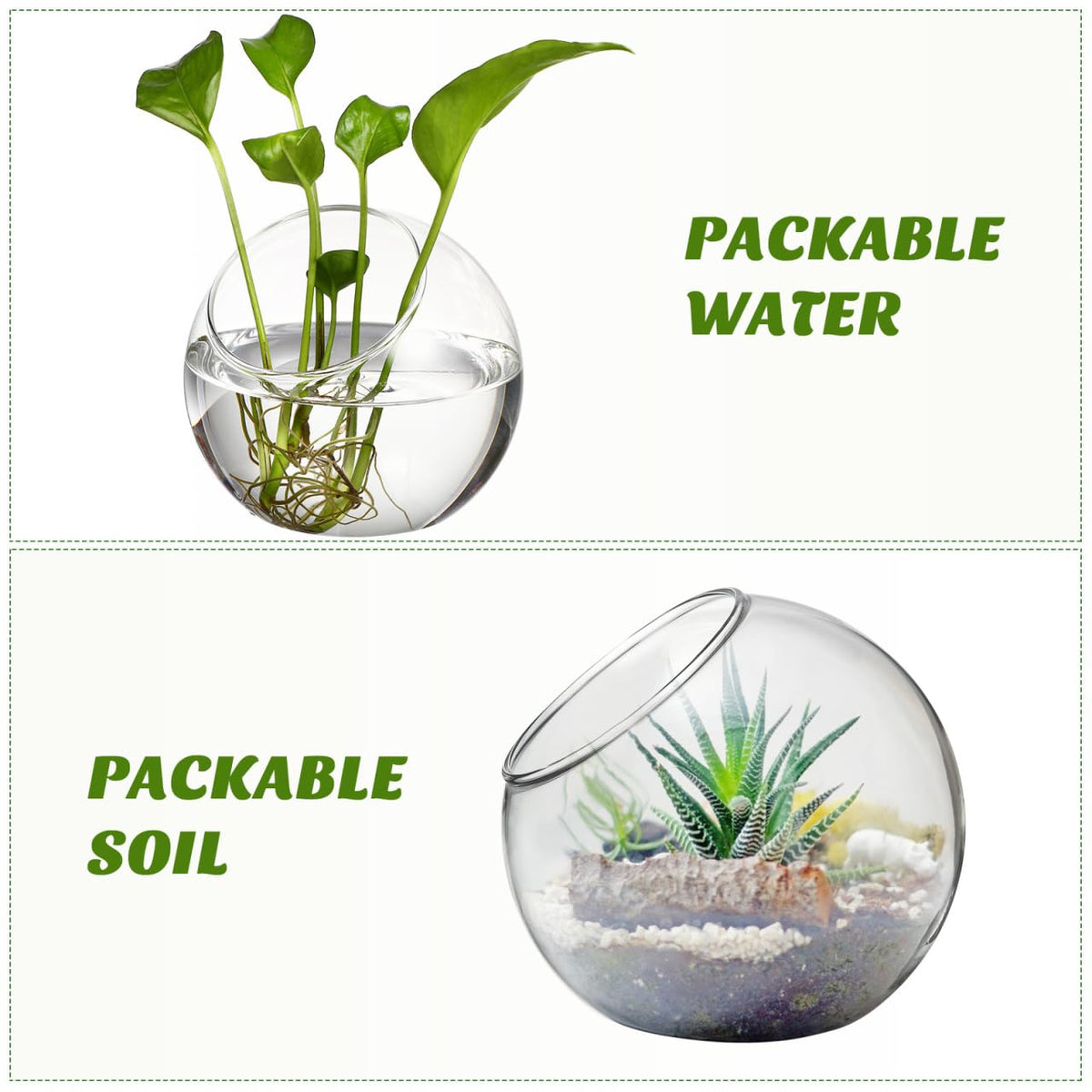 VANZACK 3pcs Round Glass Terrarium Vases Stylish Air Plant Containers for Home Office Decor Beveled Opening for Easy Plant Display for DIY Projects and Centerpieces