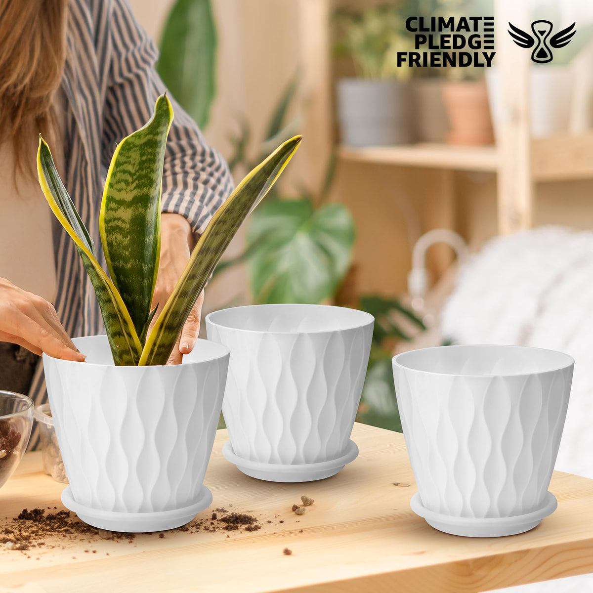 YNNICO 6 inch Plant Pots, 5 Pack Flower Pots Outdoor Indoor, Planters with Drainage Hole and Tray Saucer(White