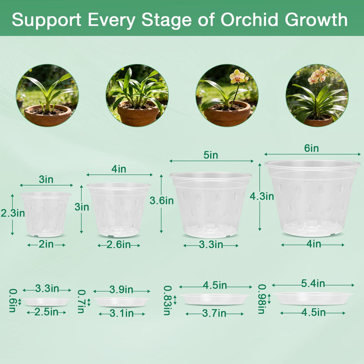 WTXHOP 3/4/5/6 Inch Orchid Pot, 12 Pack Clear Orchid Pots with Holes, Saucer and Plant Stakes for Repotting, Plastic Plant Pot for Indoor & Outdoor Plants