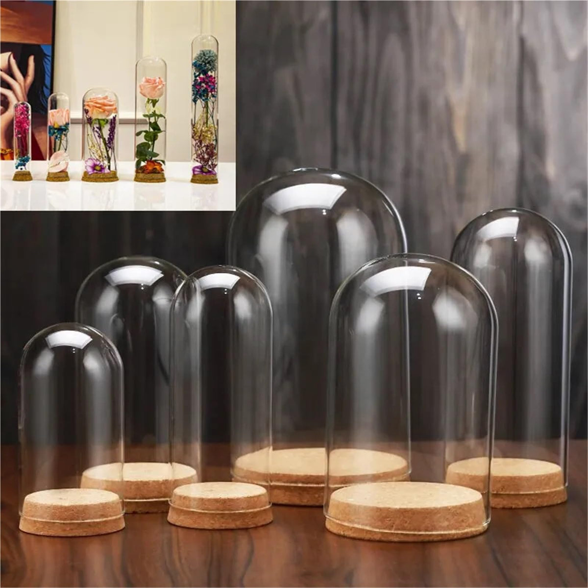 10X Da30mm Glass Bottle Terrarium Jar Cork Base Dome Dust Cover DIY Specimen Succulent Plant Micro Landscape Flower Vase Display(30x70cm)