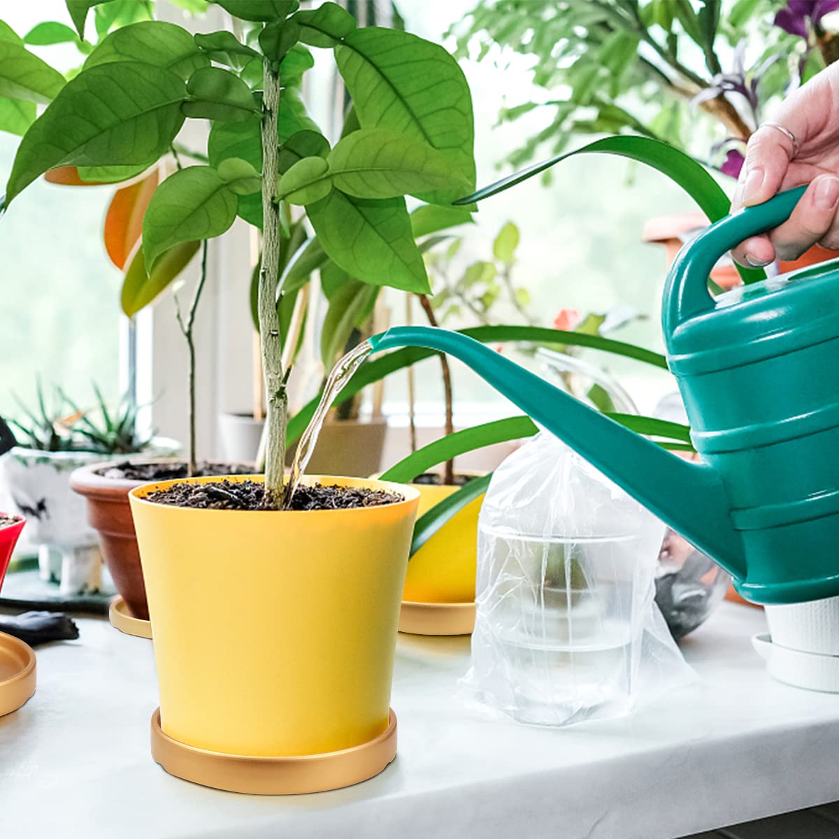 LCJAOF 2PCS Round Ceramic Plant Saucer-7 Inch Flower Pot Drip Tray, Perfect for Various Flowers, Enhancing Home Aesthetics(Gold)
