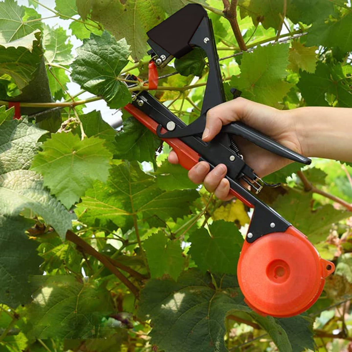 Plant Tying Machine,Plant Vine Tying Machine Tool with 10000pcs Staples 20 Rolls Tape Plant Tape Gun for Grapes,Raspberries,Tomatoes,and Vining Vegetables Tying Tool (Black)