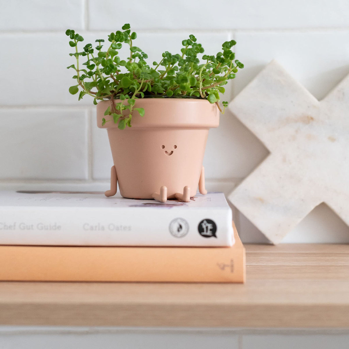 Cute Indoor Plant Pots Set of 3, Unique Plastic Succulent Pots for Plant Lovers (Plants NOT Included)