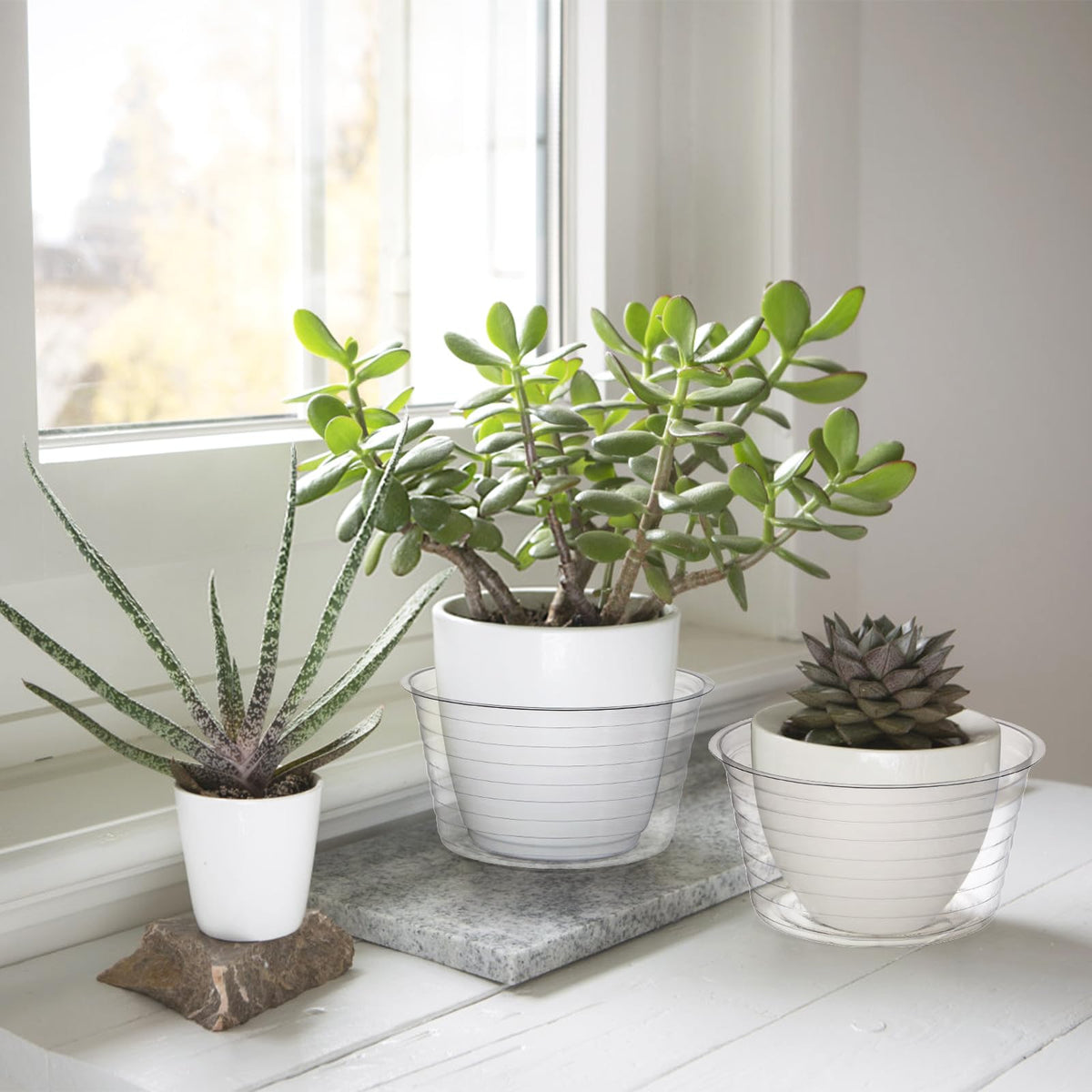 Tebery 50 Pack Clear Plastic Plant Saucer Drip Tray for Pots, 6 Inch Deep Flower Pot Saucers Water Catcher Tray Watering Trays for Plants Indoors and Outdoor