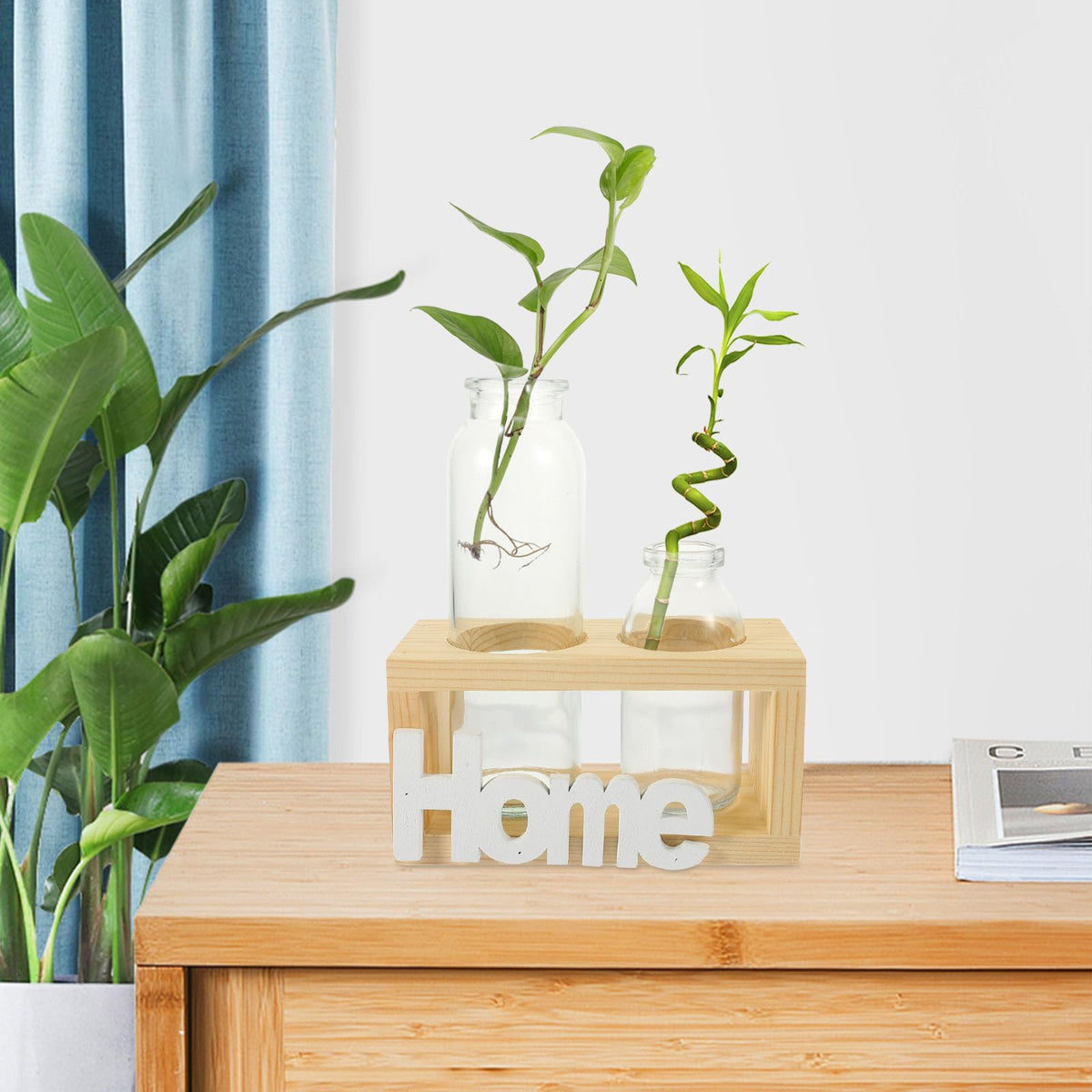 SEWACC Hydroponic Glass Planter with Wooden Stand, Nordic Style Indoor Plant Vase for Desktop Terrarium and Table Centerpiece Home Décor Set with 2 Glass Vases