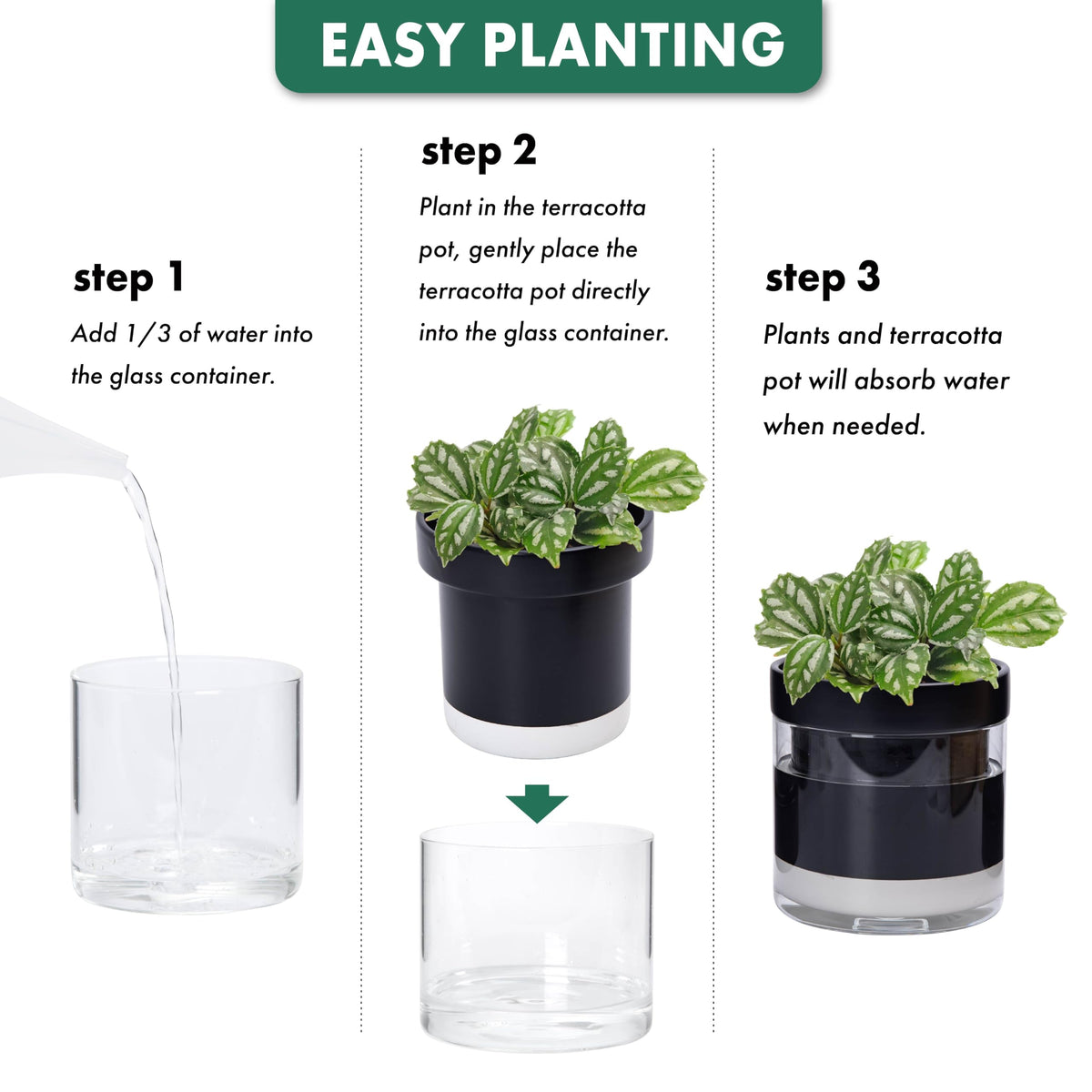 Phoenix Vine 6 Inch Self Watering Terracotta Planter, Black Terracotta Clay Pot with Glass Reservoir for Indoor Plants, Herbs, Flowers, Set of 1, 52-C-F-1