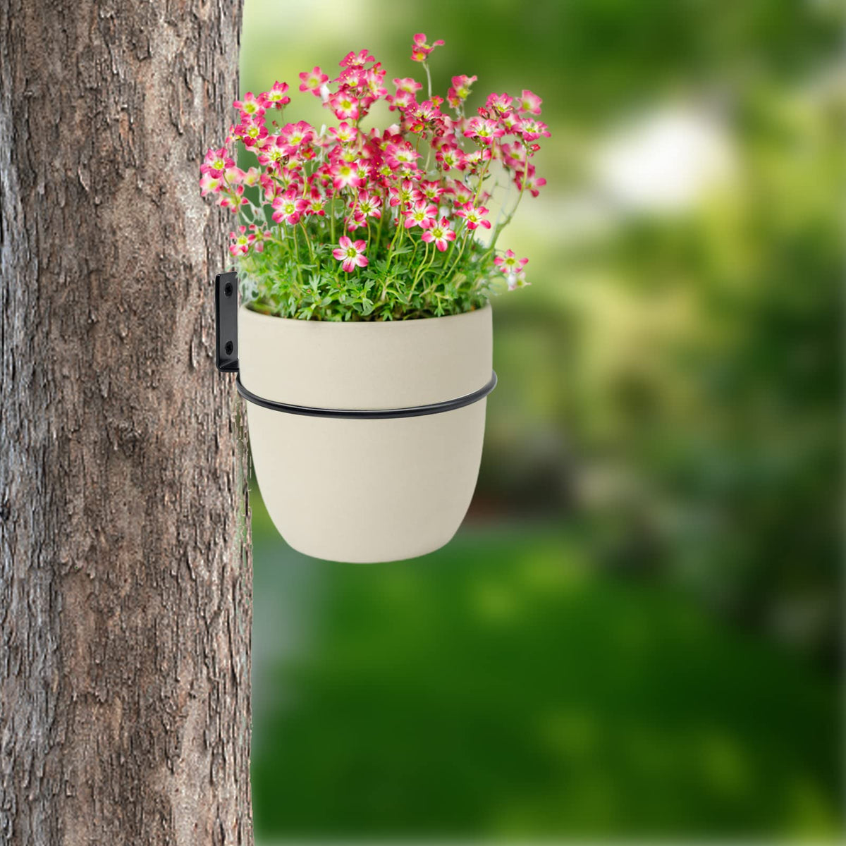 Greemov 6 Pack 8 Inch Wall Flower Pot Holder Ring Plant Hanger, Metal Planter Hooks Wall Mounted Bracket Heavy Duty for Outdoor Indoor