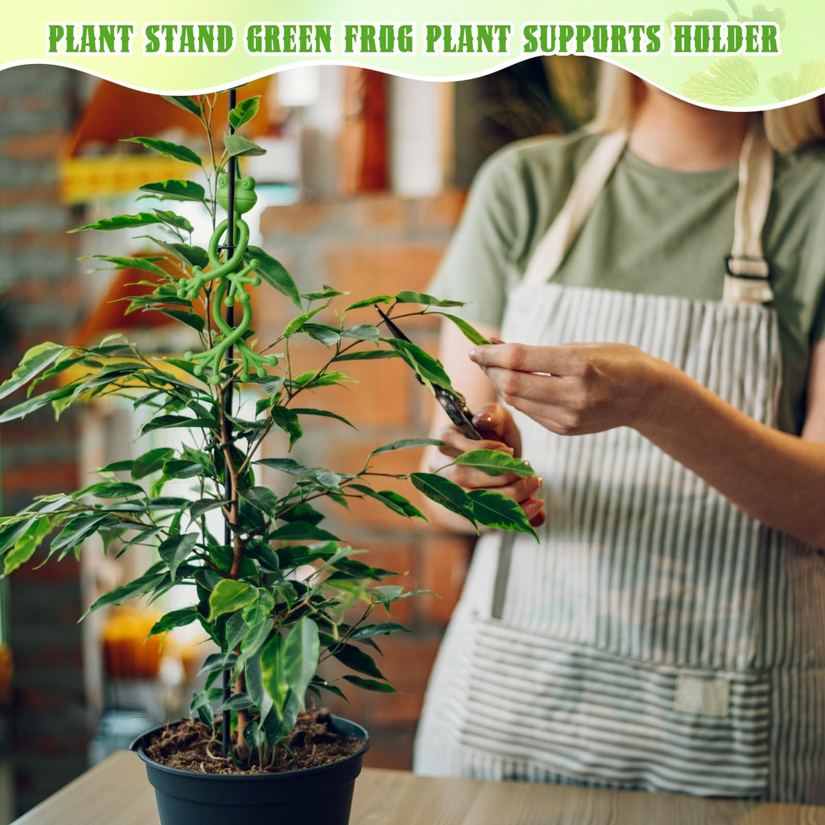 36 Pcs Frog Planter Hugger Frog Plant Stand Holder Bulk Green Frogs Plant Flower Pot Hugger Climbing Fixture Clip Plants Propagation Buddy Cute Support for Climbing Plants Indoor Outdoor Garden