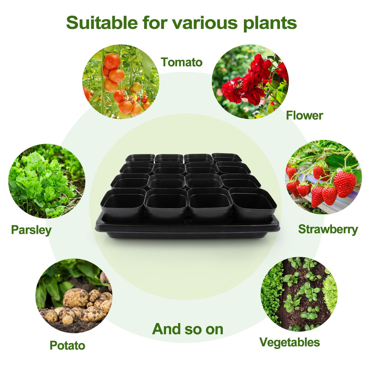 Mlhezy 80Pcs 2.5inch Square Nursery Pots with 5Pcs Seed Starting Trays, Seed Starter Tray Kit, Seeds Starting Germination, Seeding Pots with Drain Holes, Small Plant Nursery Propagation