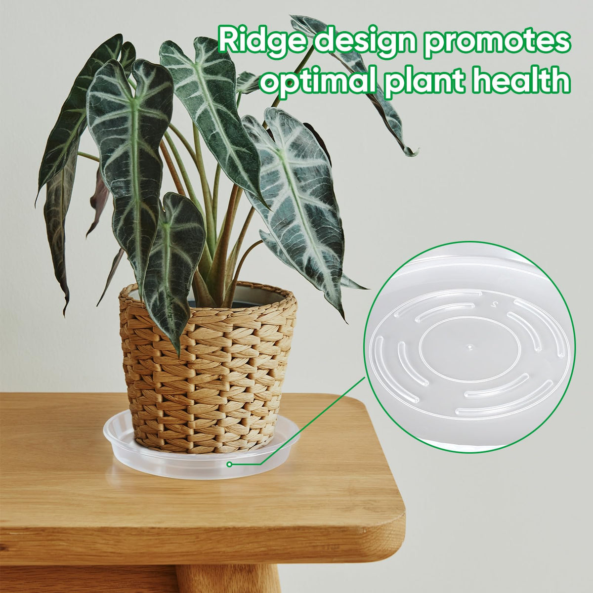 Dovesail 20 Pack Plant Saucer Tray, 6/8 /10/12 inch Heavy Duty Flower Pot Trays, Plastic Plant Saucer for Indoor & Outdoor Plants, Plant Trays to Catch Water, 5 Pieces of Each Size