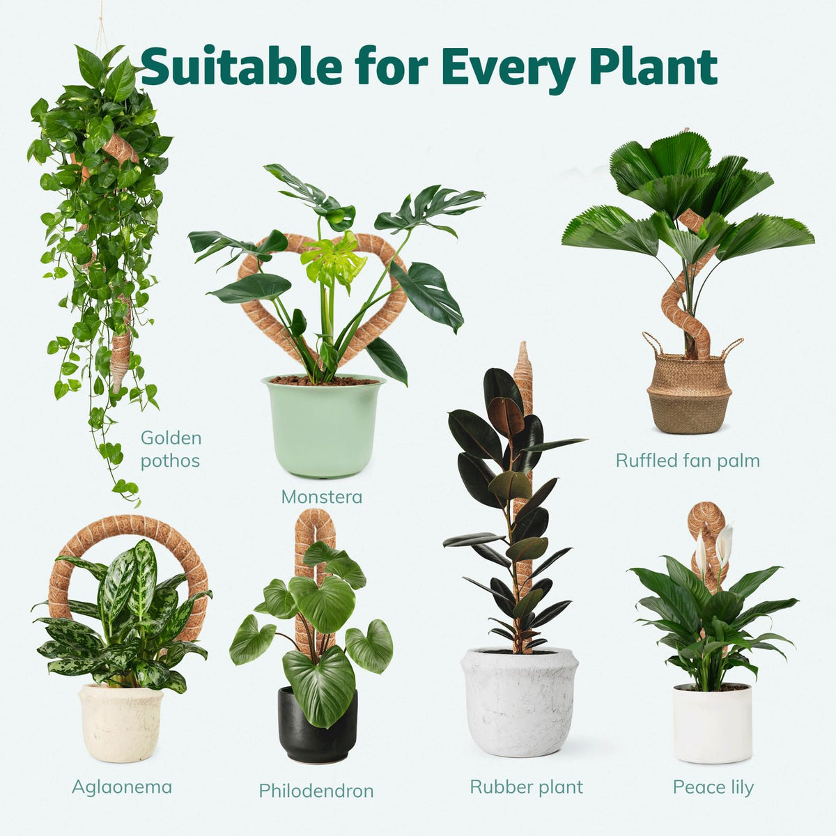 Vanut 3-Pack 35in Bendable & Sturdy Plant Moss Pole for Monstera, Gifts for Plant Lovers, Pothos Vines, Philodendron, Fishbone Cactus & Indoor Tropical Houseplants, Coco Coir