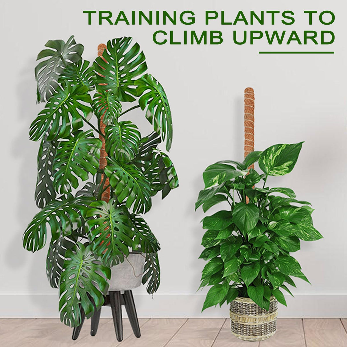 Deergo 4Pack 30 Inch Bendable Moss Pole for Plants Monstera, Coco Coir Plant Support Pole for Small Climbing Plants Grow Up