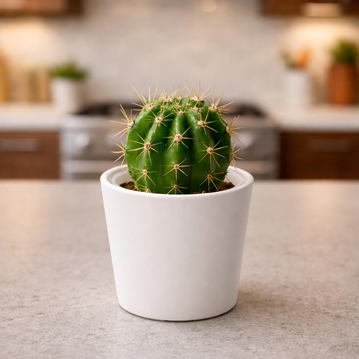 Phoenix Vine 3.5 Inch Oatmeal Plastic Cachepot with Clear Nursery Pot, Decorative Lightweight Planter Cover with Transparent Inner Pot for Indoor Houseplants, Pack of 8, 24-A-G-8