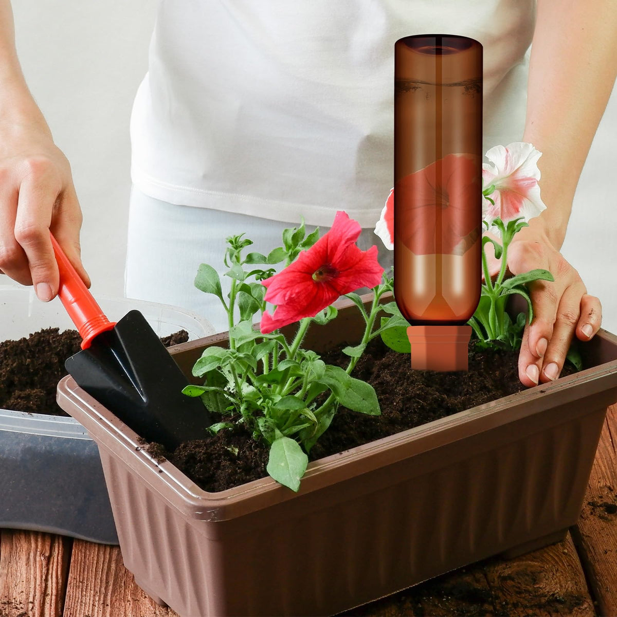 SiliFine 3 Sets Plant Watering Devices Include Terracotta Self Watering Spikes and 26 oz Plastic Bottles, Slow Release Vacation Insert Automatic Plant Waterer Device (Blue Clear Brown and Terracotta)