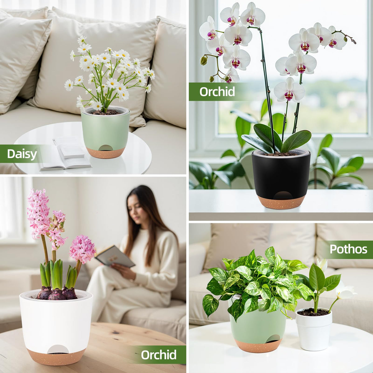 Sxueg Self Watering Orchid Pots for Indoor Plants,5.8 Inch Macetas para Orqudeas,Flower Pots for Indoor Plants with Holes(Black)