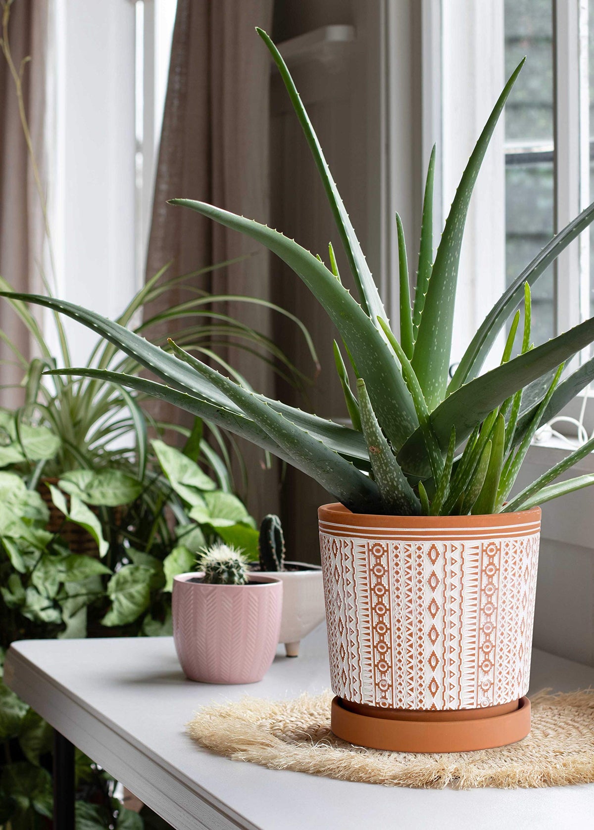 D'vine Dev Set of 2 Terracotta Pots, 6.5 Inch & 8.2 Inch, Planter Pots for Plants with Drainage Holes and Saucers, Terracotta/White, Medium, 34-958-A-1