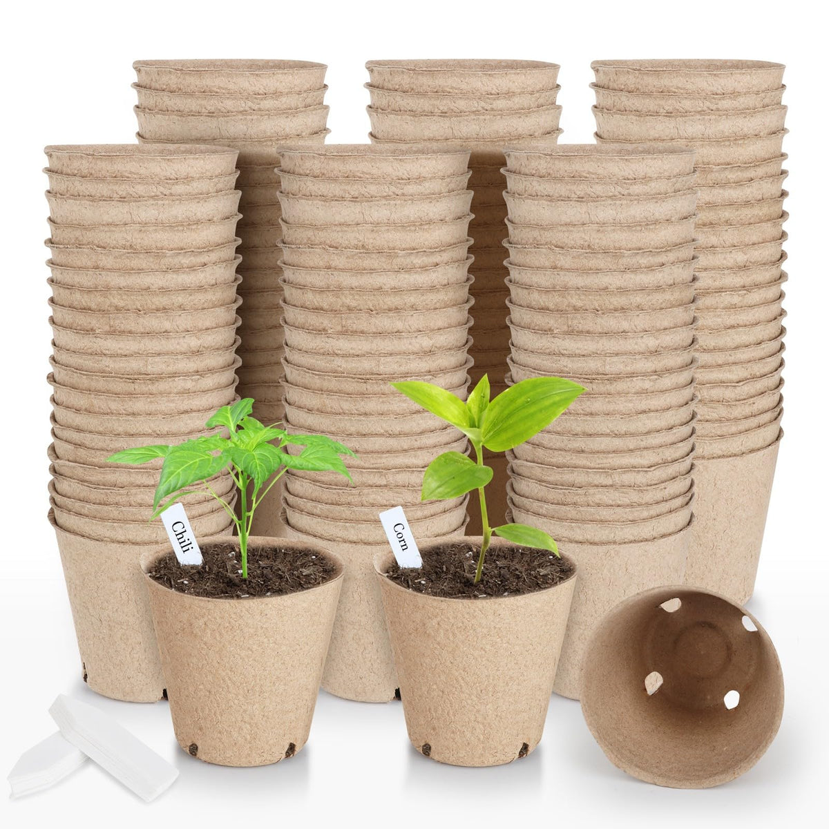 ModaSin 131 Pcs Organic Peat Pots, 3.15 Inch Nursery Pot, Round Plant Seedling Pots with Drainage Holes, Small Seed Starting Starter Tray Bulk, Garden Germination Container with 131 Planting Labels