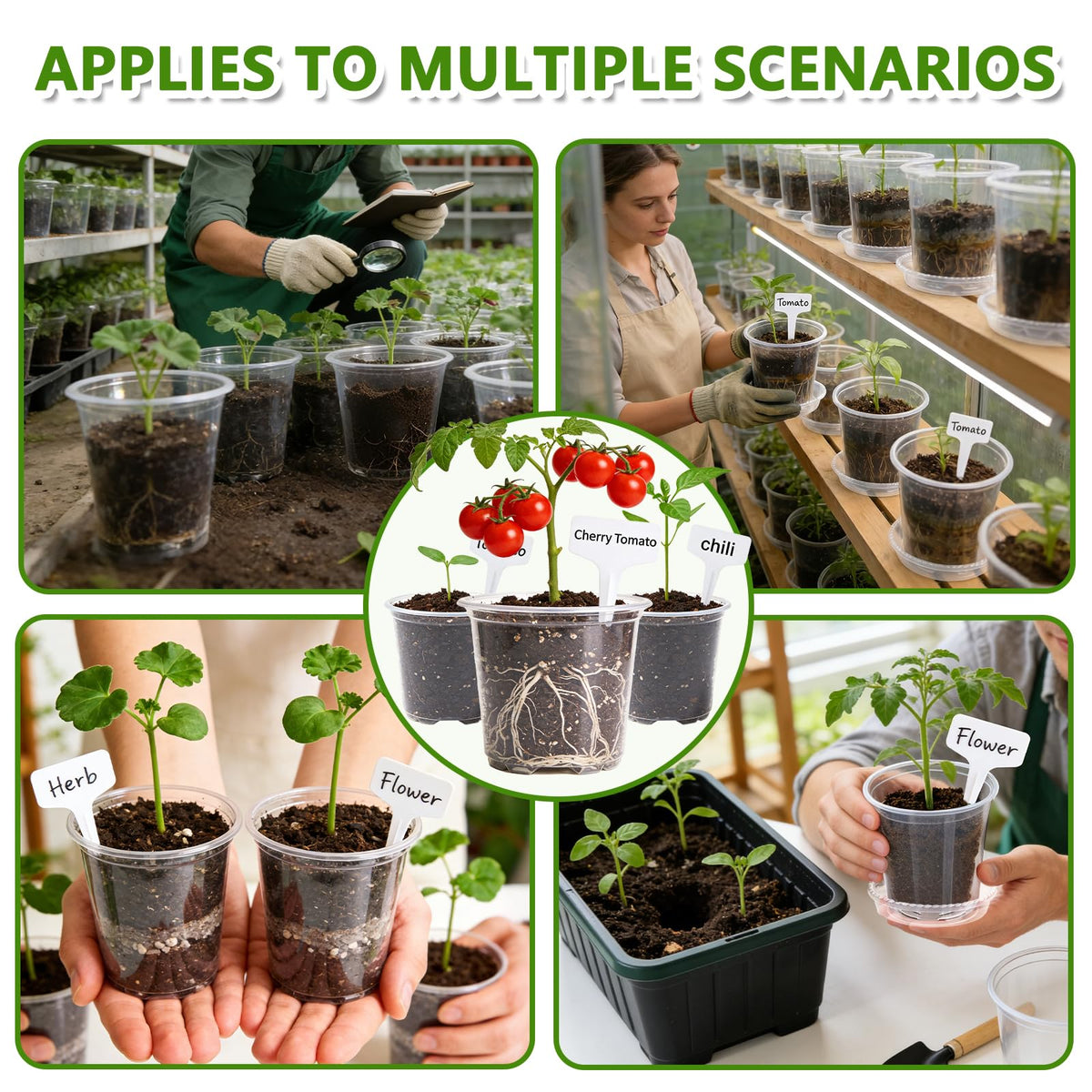 CAKKVDE 36 Pack Clear Nursery Pots with Saucers, 3.5/4/5 Inch High Transparency Plastic Plant Pots with Drainage Holes, Variety Pack for Propagation, Seed Starting, Succulents, Herbs and Vegetables