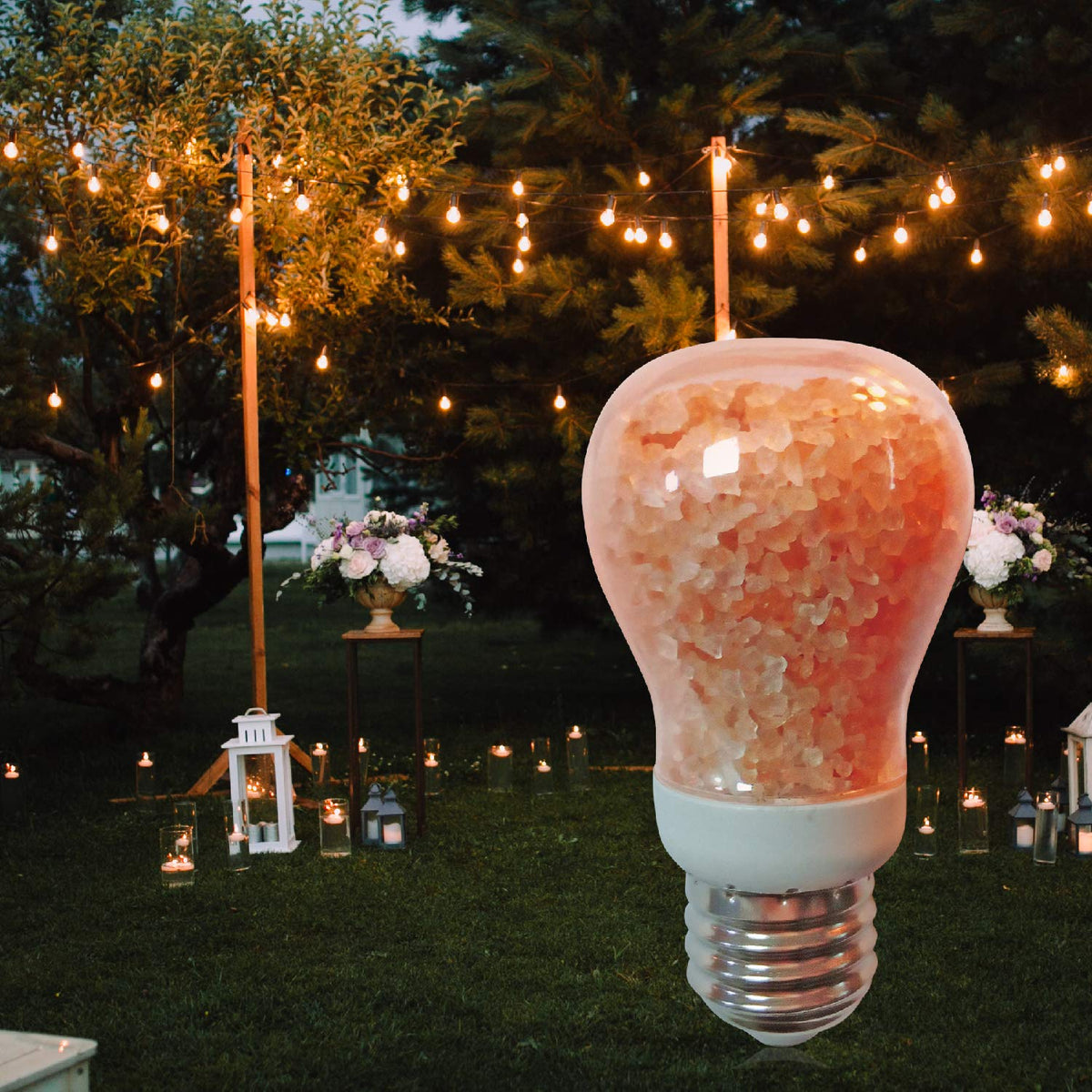 Himalayan Glow Salt Lamp LED Light Bulbs 60-Watt Equivalent, Warm Amber Glow, Dimmable E26 Edison light bulb for Decor, Homes, Offices, Kitchen, 6 Pcs