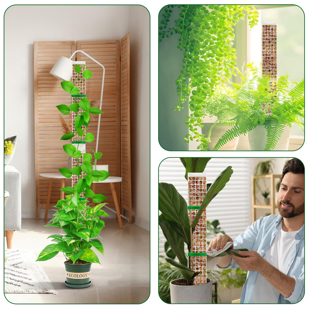 YSKS 6 Pcs 24-inch Plastic Moss Poles for Plants ,Moss Poles for Climbing Plants, Indoor Plant Support Work with Sphagnum muss