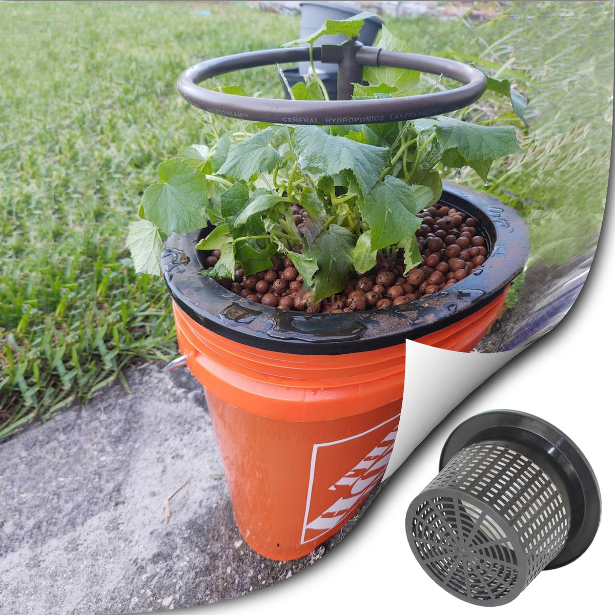 CHTASO HG10MESHPOT 10-Inch Wide Lip Mesh Net Pots (2-Pack), 5 Gallon Bucket Lids for DWC Hydroponics, Perfect for Pitcher Plant Cultivation