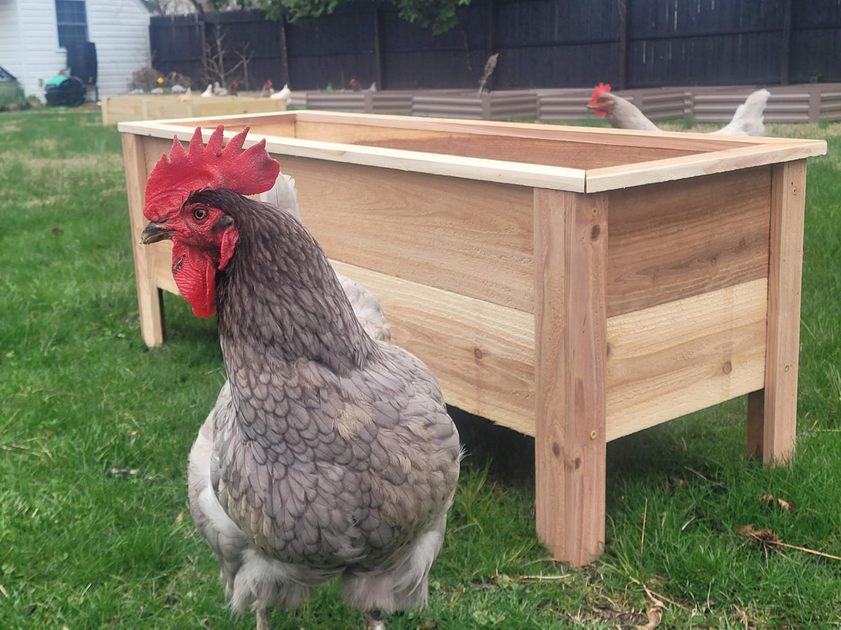 Cedar Raised Garden Bed Planter Box with Legs – Heavy Duty Outdoor Wooden Planter for Vegetables & Flowers, No Bending Elevated Design, Custom Size, Handmade in USA (18in x 15.5in x 16in)