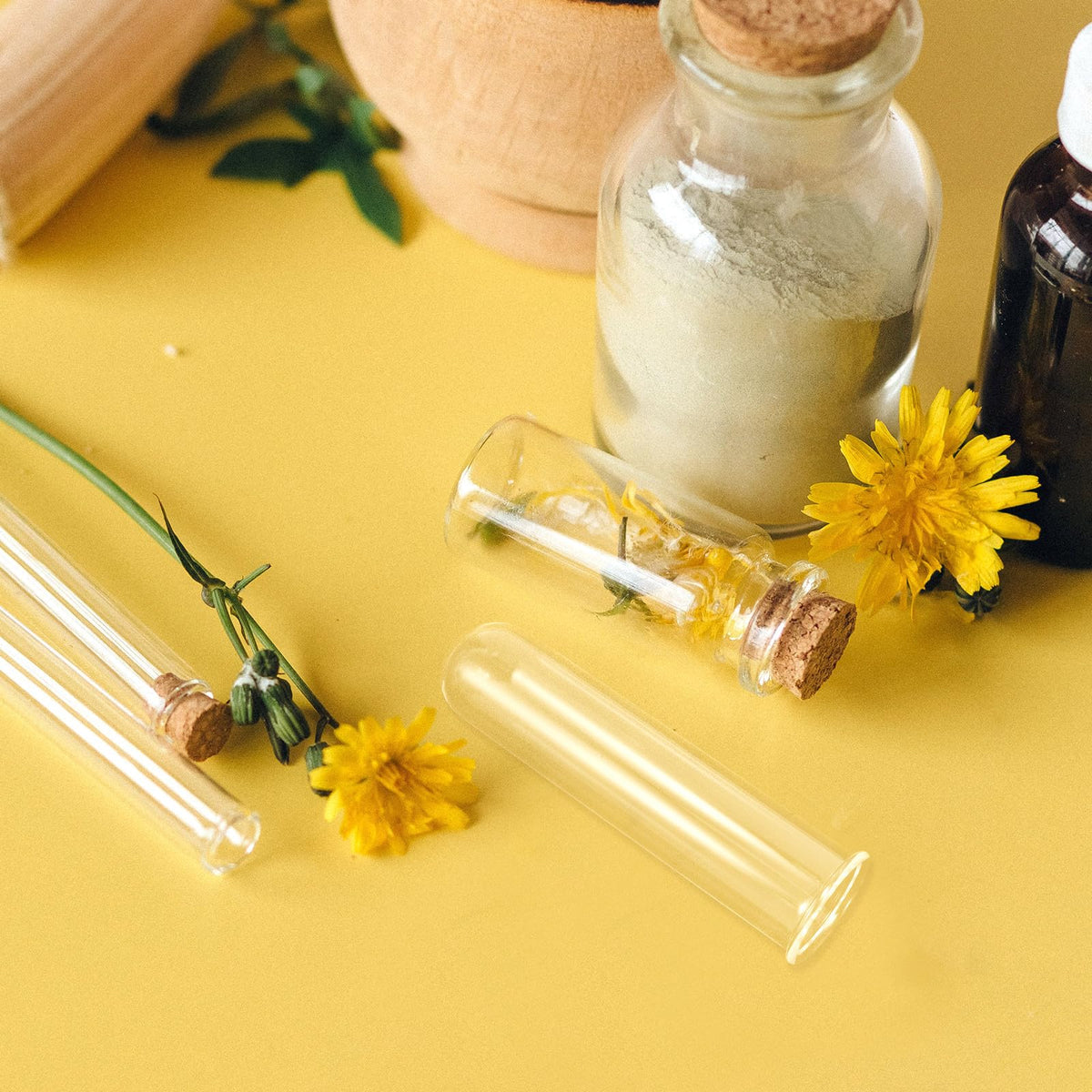 DOITOOL 5Pcs Glass Test Tube Vases 2.5X3X11Cm Hydroponic Propagation Tubes Small Plant Terrarium Vase for Home Décor and Floral Display