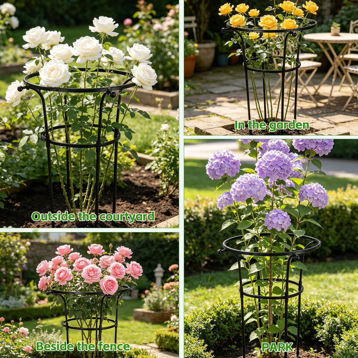 2 Pack Large Peony Cages and Supports, 26" H x 20" D Grow Through Plant Support Rings, Sturdy Garden Trellis, Plastic Rings with Stainless Steel Core Stakes for Peonies, Roses & Top-Heavy Blooms