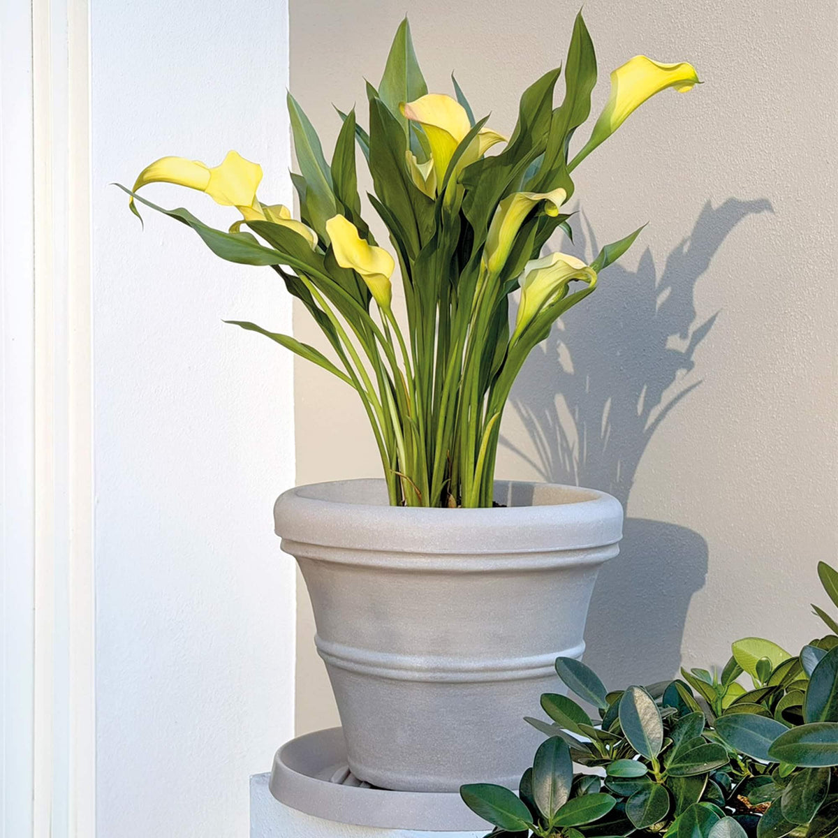 Crescent Garden Brunello Classic Rolled Rim Planter, Indoor/Outdoor Weather-Safe Round Plant Pot, Large Plastic Flowerpot for Flowers, Faux Plants, Trees - 27'' W (Parchment)
