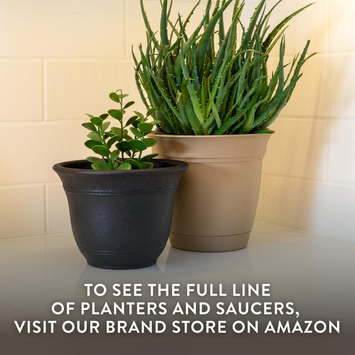 The HC Companies Sierra Round Self-Watering Pot - Lightweight Plastic Planter for Herbs & More - Durable Plant Pots for Indoor Plants & Outdoor Plants (7.5” Black Onyx, Pack of 2)
