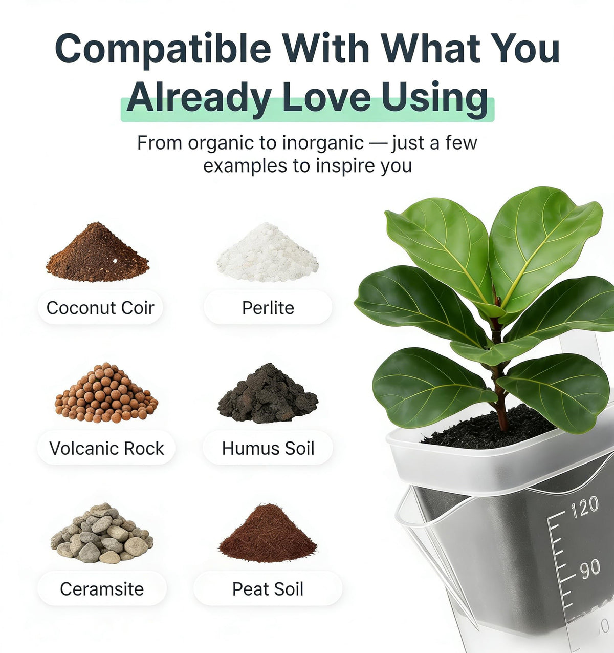 NUSQO Self Watering Pots for Indoor Plants, 12 Pack 2 Inch Mini Clear Plastic Planters with Water Level Indicator, Drainage Holes and Plant Labels for African Violet and Alocasia Corm Propagation