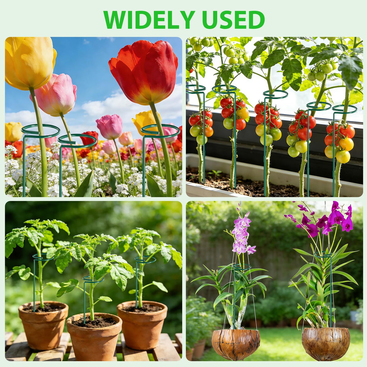 Unves 12 Pack Plant Support Stakes, 36 Inch Garden Plant Stakes, Three Sizes(36 or 24 or 12 Inch) Single Stem Plant Cage for Outdoor Indoor Plants, Sunflower, Tomatoes with 100 Pcs Twist Ties