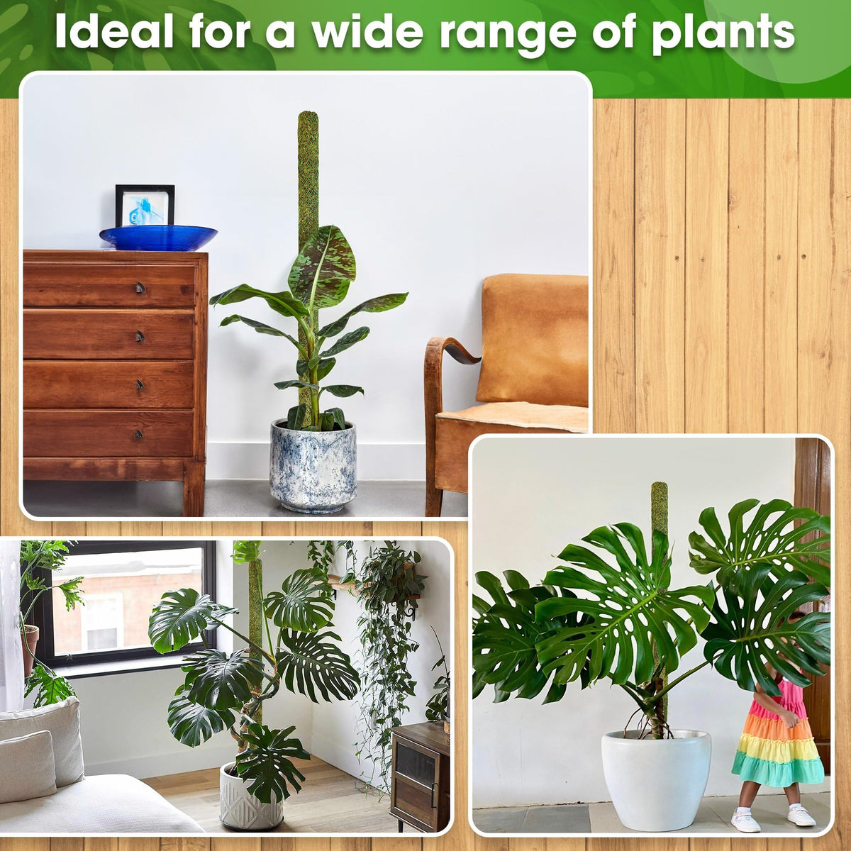 DUSPRO 59ββ Large Green Mesh Moss Pole Monstera Plant Support, Tall Plant Stakes, Moss Pole for Plants Monstera, Garden Pole, Moisture Stick for Plants (1pc., 59''), Natural