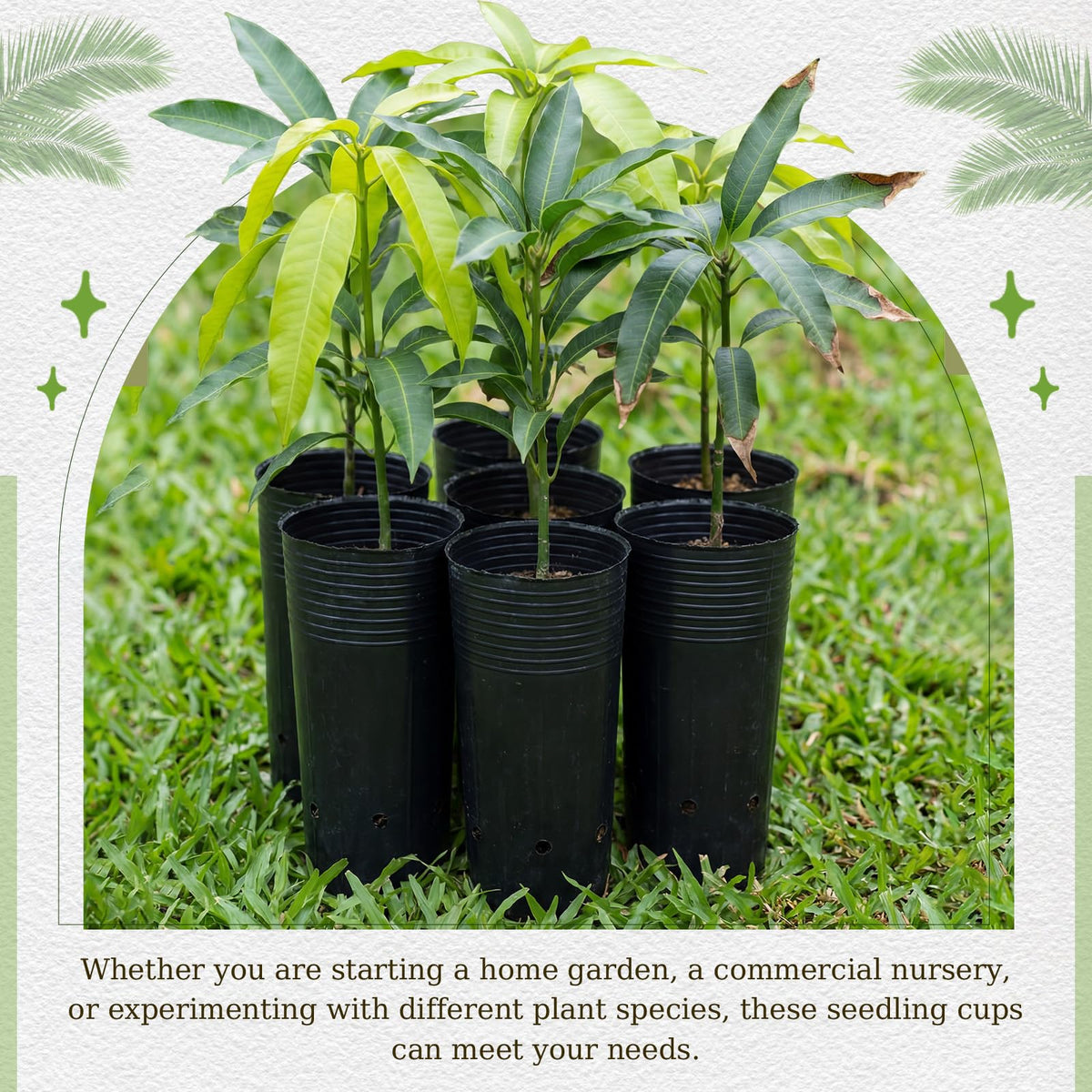 Ferrochef 100 Pack Tall Tree Pot 9.8'' x 4.7'', Black Plastic Deep Nursery Pots, Soft Deep Seedling Pots for Seed Starting, Plant Starter Cups with Drainage Holes for Flowers, Cuttings Transplanting