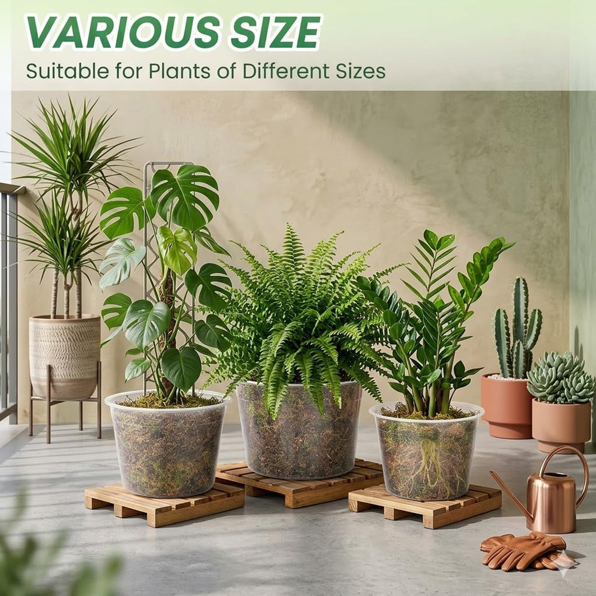 THEIFOXONE 4 Sets 10 Inch Large Clear Nursery Pots with Drainage Holes, Thick Reusable Plastic Plant Pots for Indoor Outdoor Plants, Seedlings, Succulents, Transplanting (10 inch)