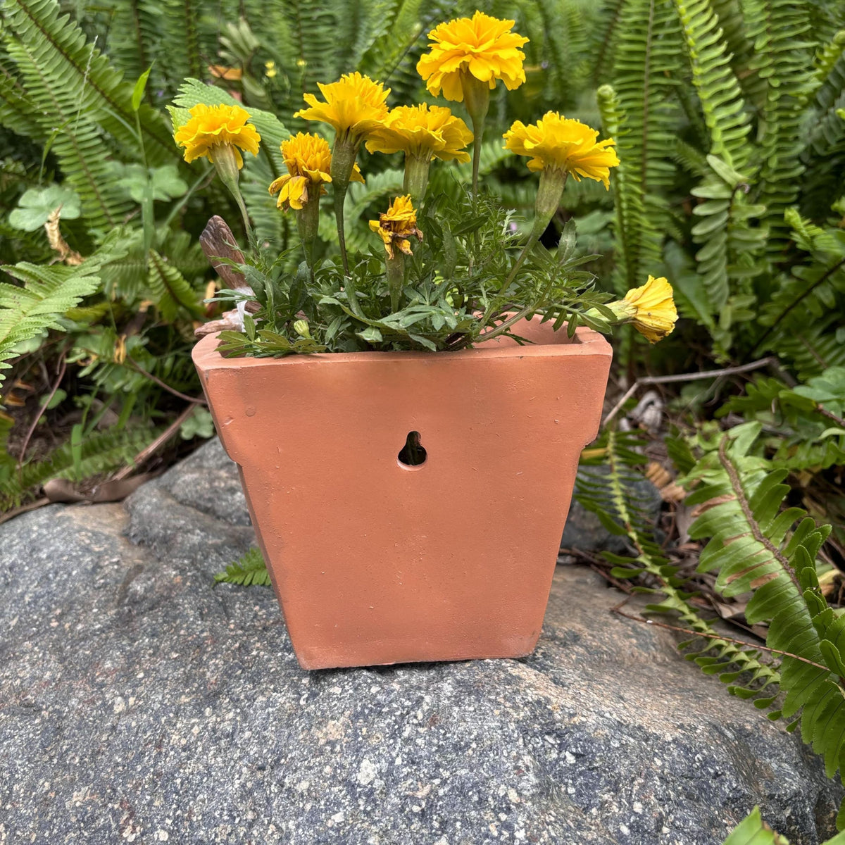 Yaoemei Bird Succulent Planter, Cute Bird Plants Pots, Indoor Outdoor Flowerpot Garden Decor, Bird Bonsai Flower Pot, Wooden Succulent Planter with Drainage for Yard Patio Lawn Balcony