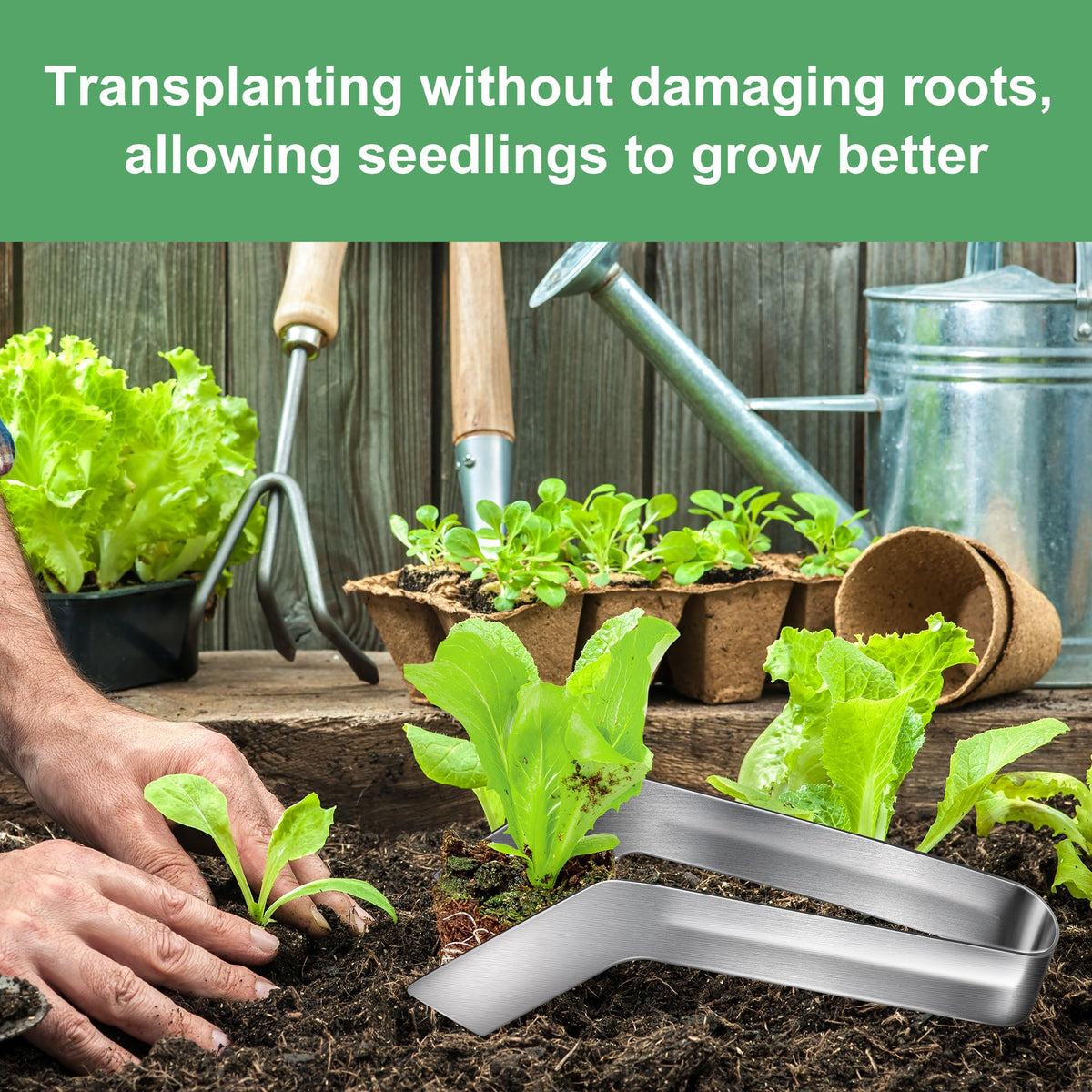 2 Pcs Seedling Transplant Tongs- 8.7 Inch Stainless Steel Gardening Plants Transplant Tongs- Seedling Remove Transplant Pliers for Reducing Root Damage