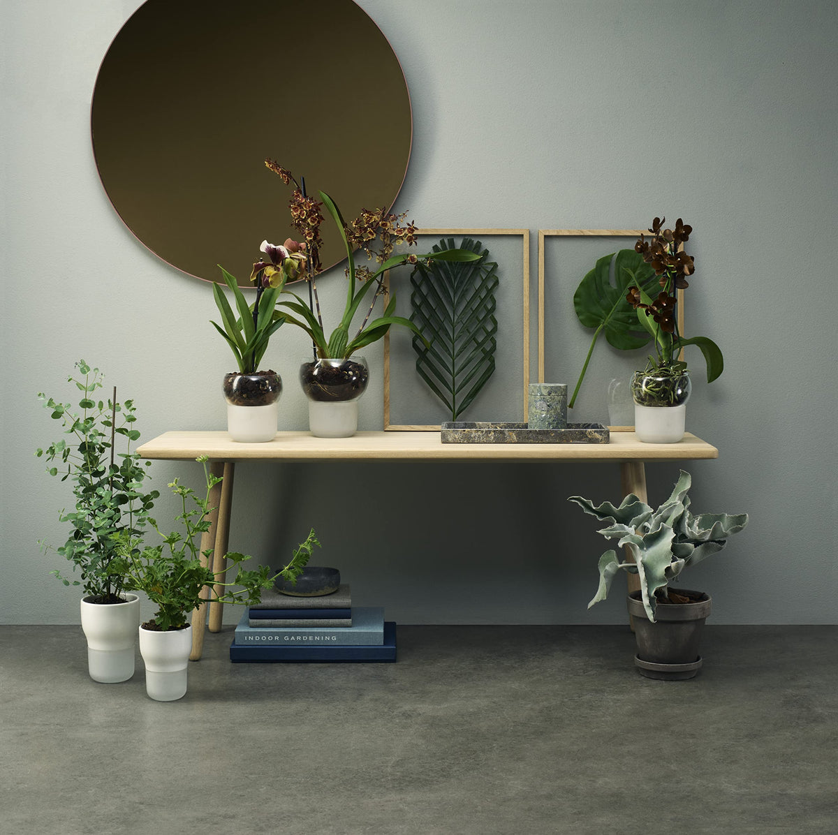 Eva Solo | Orchid Pot | Ø15cm Self-Watering Orchid Pot | Keeps Indoor House Plants, Flowers, Herbs & Vegetables Watered & Healthy | Danish Design, Functionality & Quality | Frosted Glass