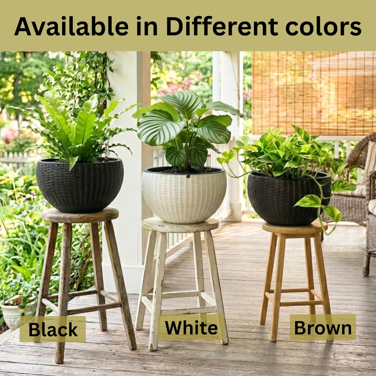 LaLaGreen Indoor Hanging Planter (11 Inch, 1 Pack) Self-Watering Round Basket with Water Level Indicator, Rattan Style Flower Pot Black Metal Chain for Deck Porch Patio Garden Balcony Outdoor Decor