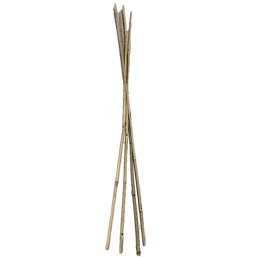 Farm Plastic Supply - Bamboo Garden Stakes - Bambo Sticks, Bamboo Plant Stakes for Outdoor Plants, Plant Support Stakes for Indoor Plants (7 Foot, 5)