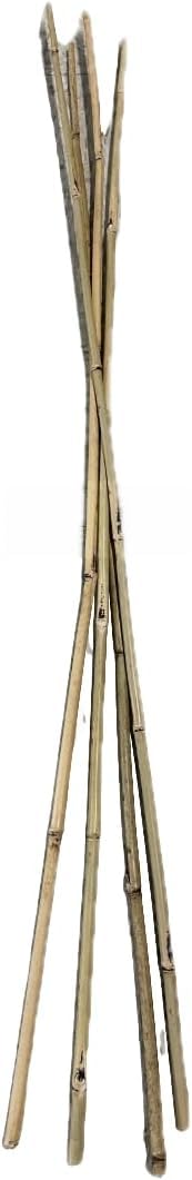 Farm Plastic Supply - Bamboo Garden Stakes - Bambo Sticks, Bamboo Plant Stakes for Outdoor Plants, Plant Support Stakes for Indoor Plants (4 Foot, 5)