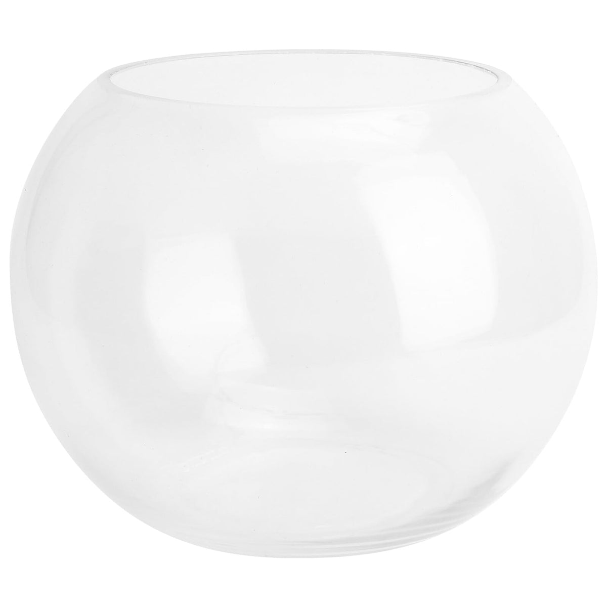 Healeved Glass Hydroponic Plant Vase 20cm Round Fish Tank Terrarium Holder Desktop Flower Pot for Home Office Decor