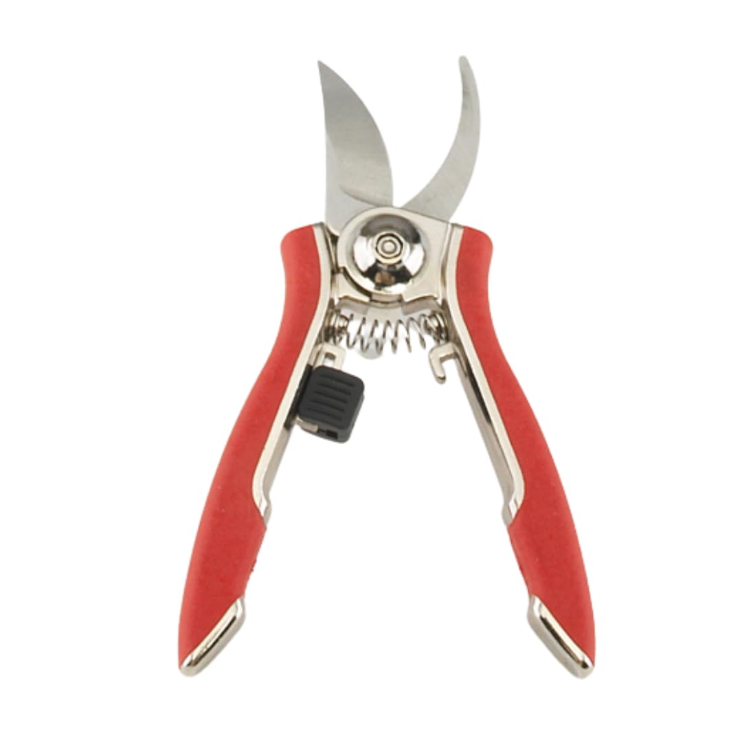 Dramm ColorPoint Stainless Steel Compact Garden Pruning Shears, Hand Pruner, Garden Clippers, with Heavy Duty Blade and Easy grip Handle, Blue